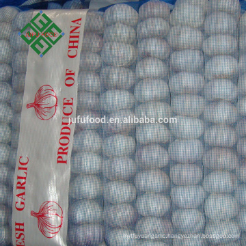 normal white garlic factory price for the international market